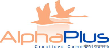 全球廣告設計公司矢量標志0065 飛鳥元素與創意設計的完美融合